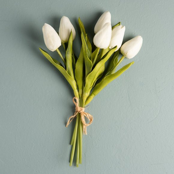 Meet your Posher, Elizabeth - Picture 1 of 1